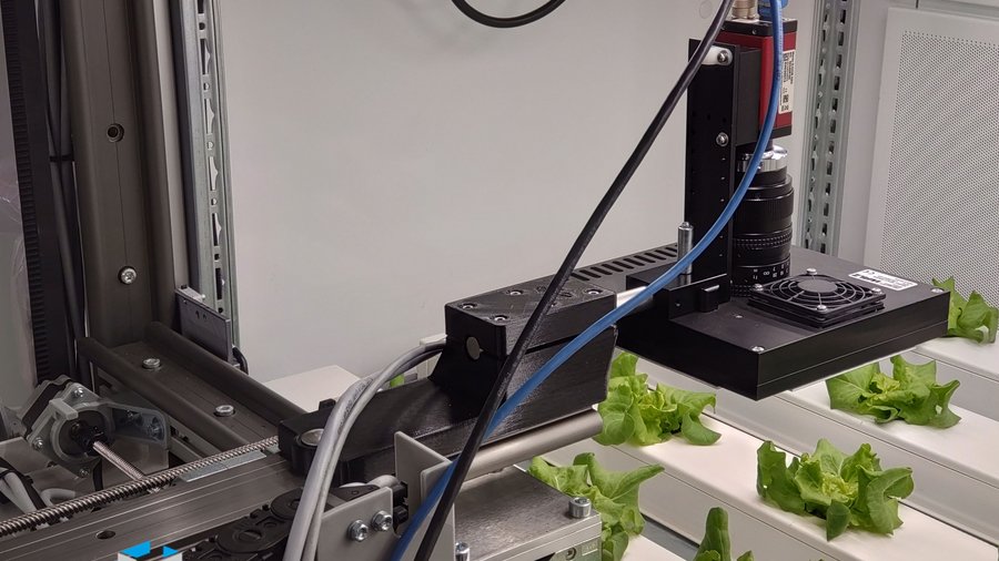 Laborteststand in einer vertikalen Farm zur automatischen Erfassung der Pflanzenparameter, hier bei Salat, im Projekt LightSaverAI. © Hochschule Osnabrück; Projekt "LightSaverAI"