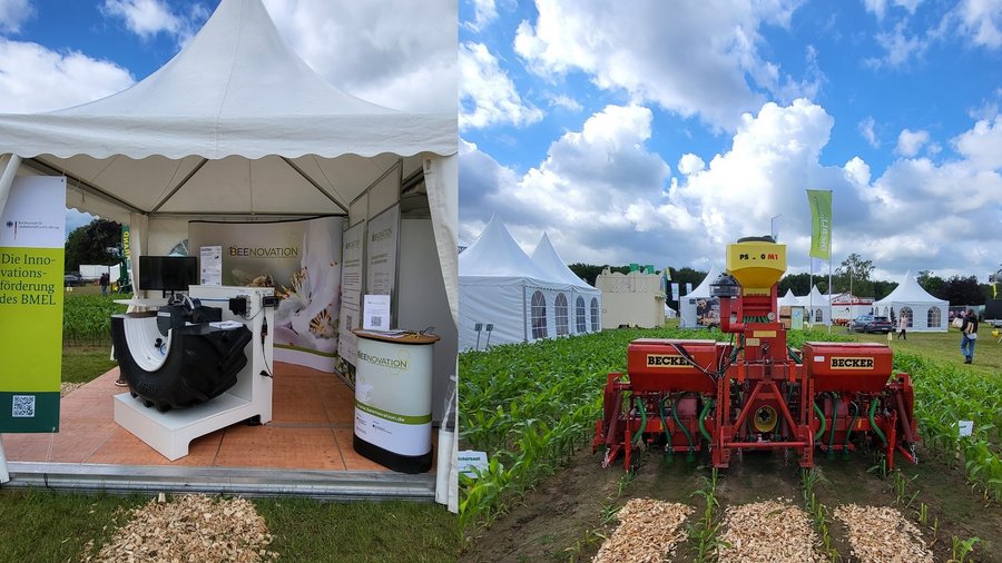 Das Zelt der Innovationsförderung mit dem Querschnittsmodell einer Traktor-Vorderachse mit Reifendruckregelanlage aus „VariQtire“ und der Stand der Vernetzungs- und Transfermaßnahme „Beenovation“ (links). An der Maisfläche mit der Untersaat Rotschwingel steht die Maislegemaschine mit Untersaateinrichtung aus „Maisuntersaat-easy“ (rechts). © BLE