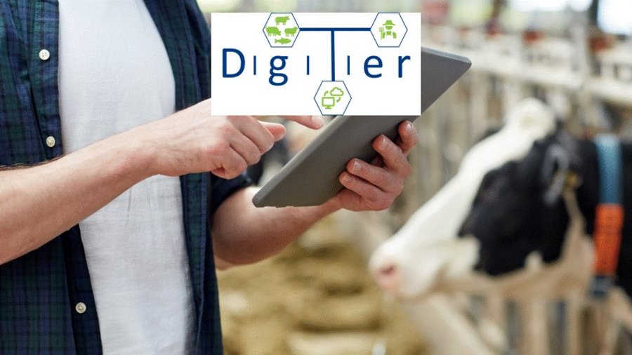 Person mit Tablet auf einem Futtertisch, im Hintergrund eine Kuh außerdem das DigiTier Logo © EurA AG