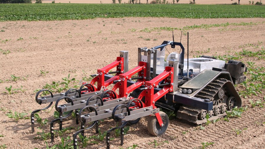 Roboter ausgerüstet mit einem Hackgerät auf dem Feld © JKI/M. Tomforde