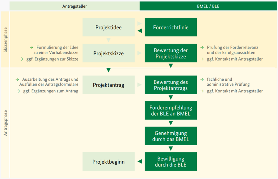 Schematische Darstellung zum Ablauf des zweistufigen Antragsverfahrens: zunächst erfolgt die Bewertung einer im Zuge einer Förderrichtlinie eingereichten Projektskizze. Bei positiver Bewertung der Skizze wird der Antragsteller zur Einreichung eines Vollantrags aufgefordert, der widerrum bewertet und eine entsprechende Förderempfehlung der BLE an das BMEL übermittelt wird. Nach Genehmigung durch das BMEL sowie Bewilligung durch die BLE kann das Projekt starten. © BLE