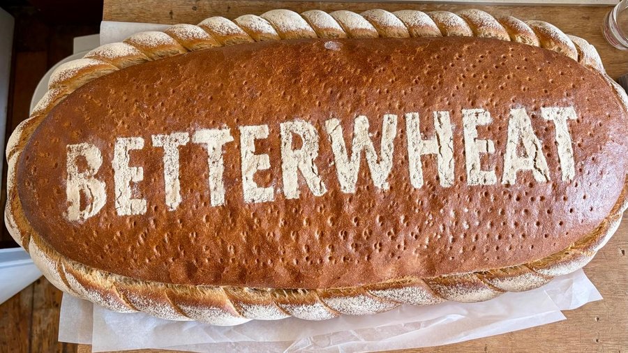 Ein Brot mit der Aufschrift "BETTERWHEAT" © BLE