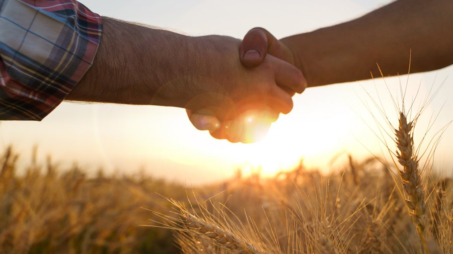 Zwei Landwirte geben sich vor dem Hintergrund eines Weizenfeldes die Hand
