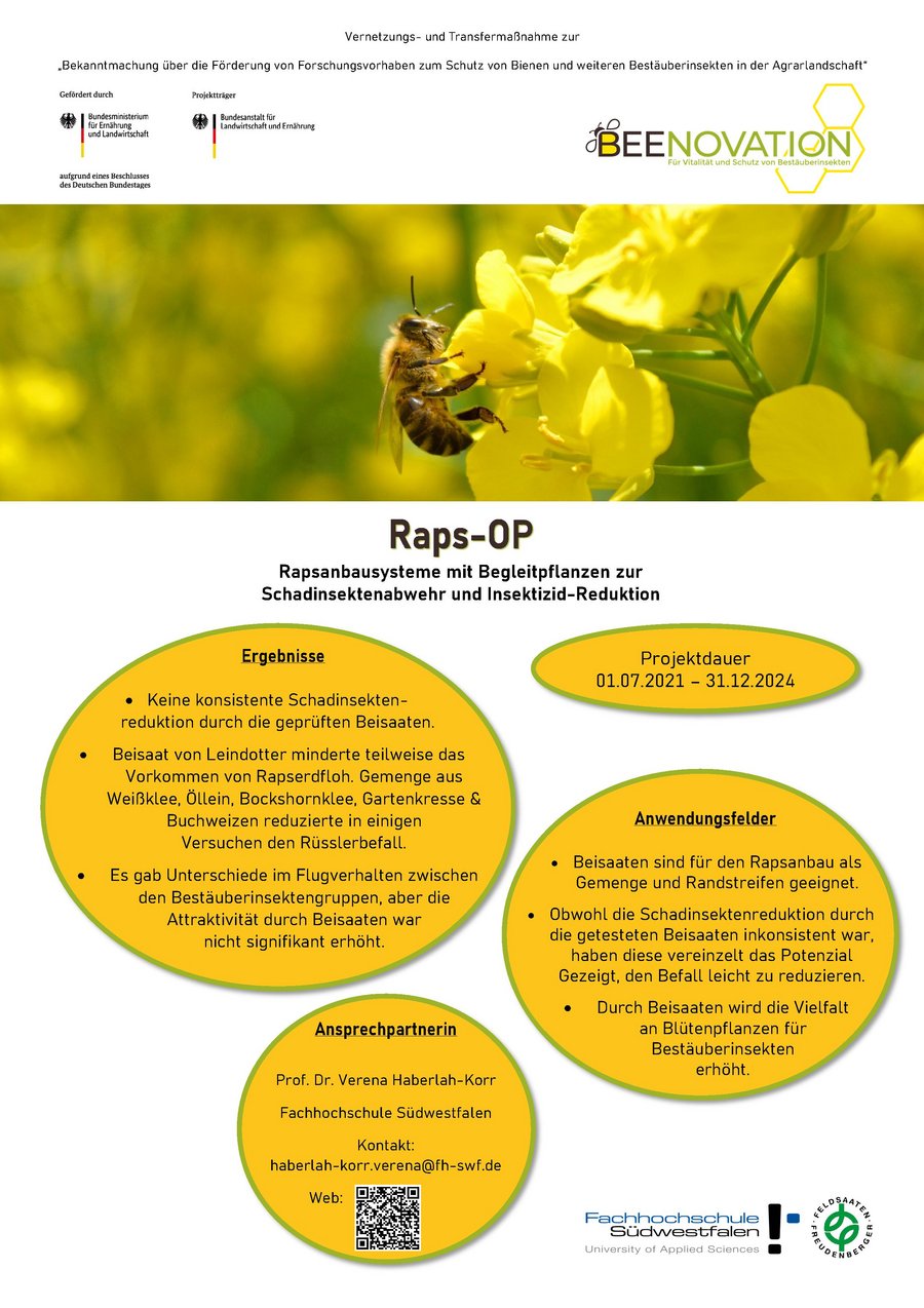 Steckbrief des Projekts: Rapsanbausysteme mit Begleitpflanzen zur Schadinsektenabwehr und Insektizid-Reduktion (Raps-OP)